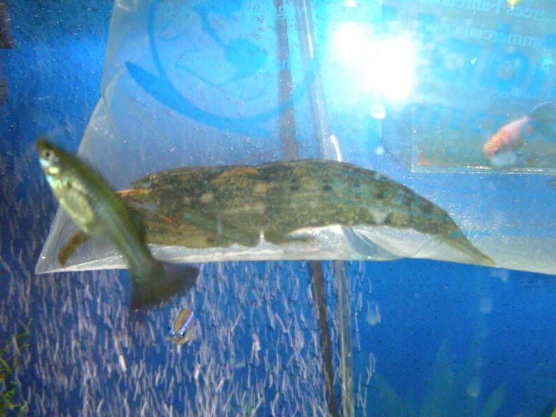 DSCN2528.jpg