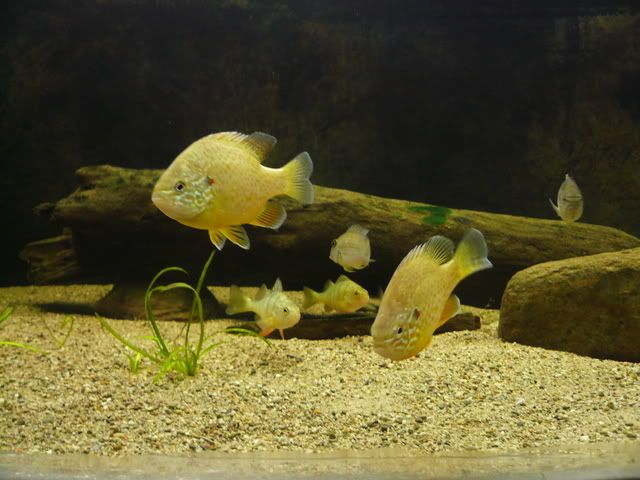 P1080300.jpg