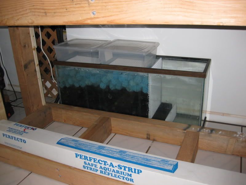 3-17-09036.jpg