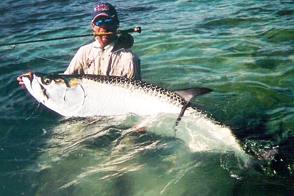 tarpon.jpg