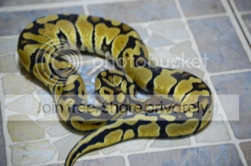 Dsc_6351.jpg