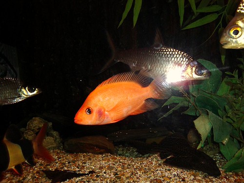 3020514936_71cfc4467c.jpg