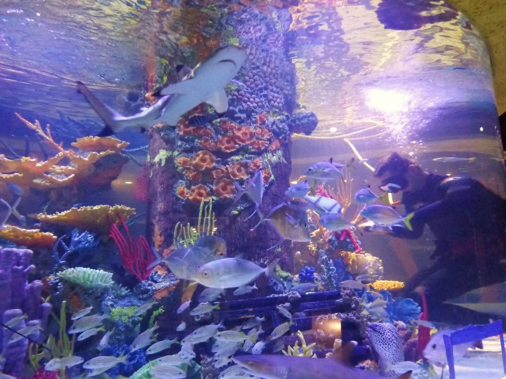 DSC01735.jpg