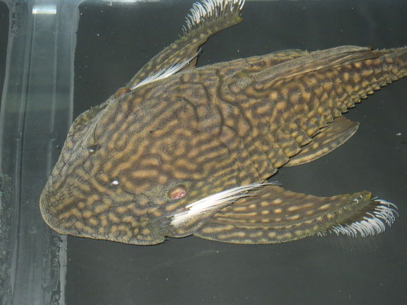 1-19-09243.jpg