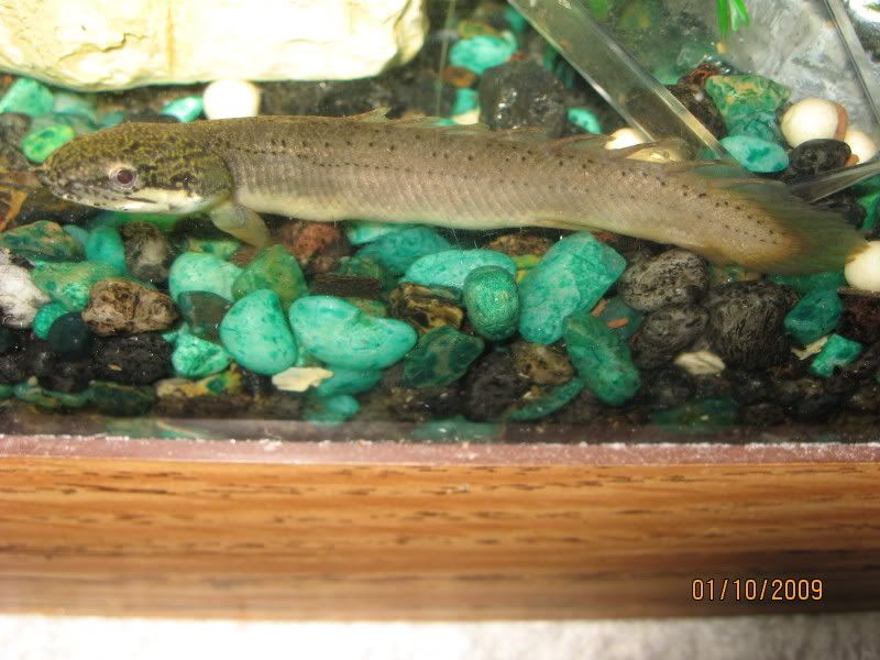 Picture049.jpg
