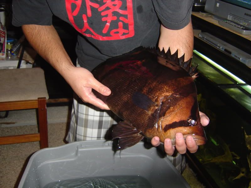 7-2-08002.jpg