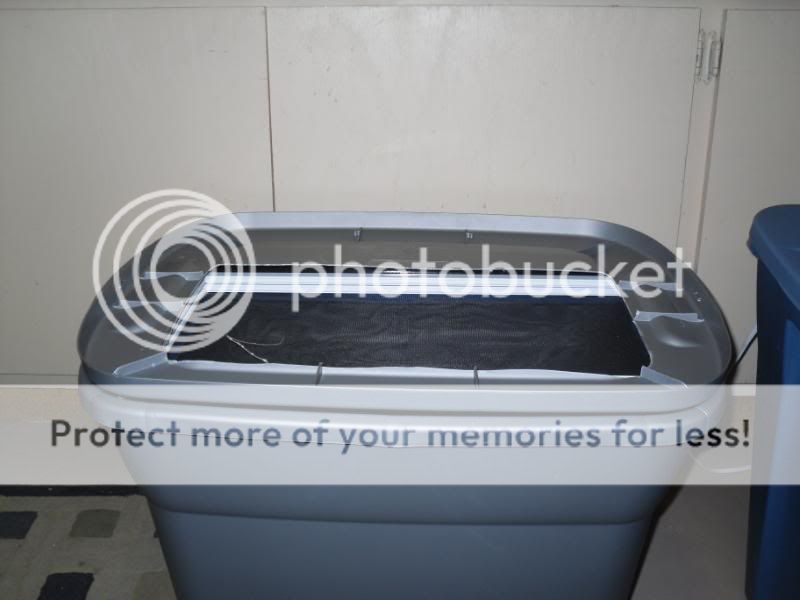 SDC10367.jpg