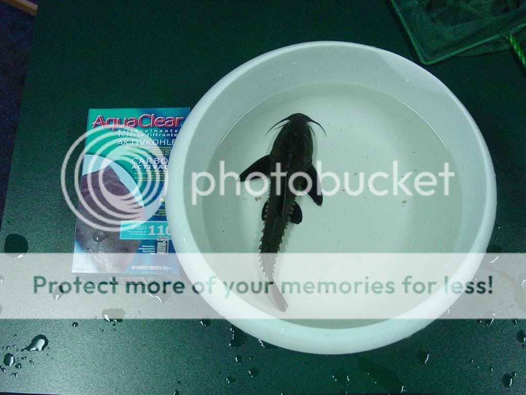 DSC07154.jpg