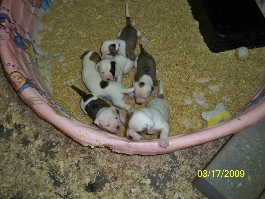 3weeks008.jpg