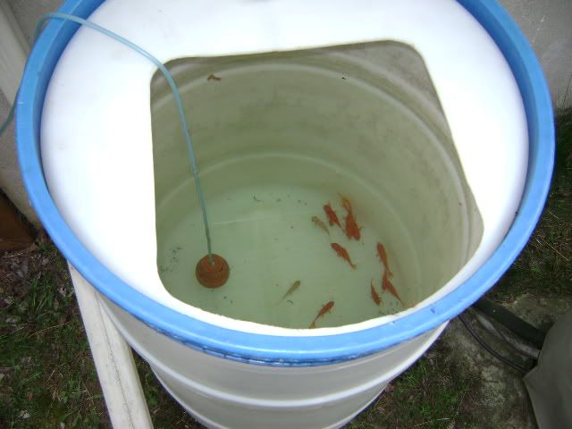 tank005.jpg