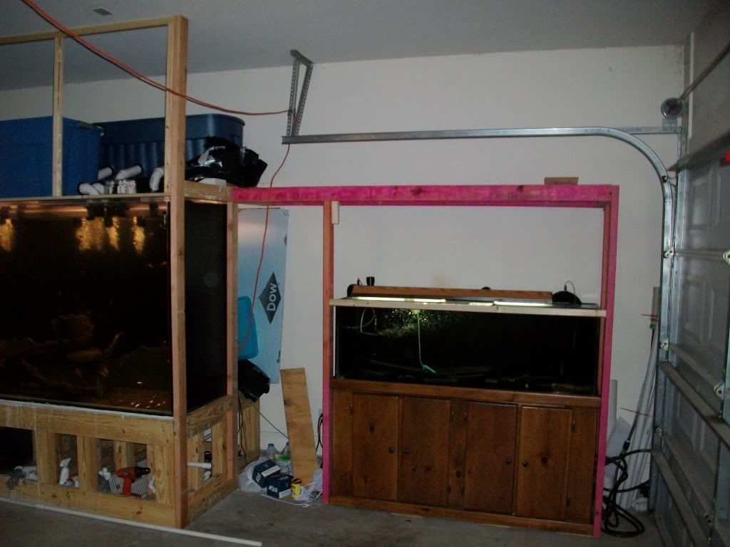 003-7.jpg