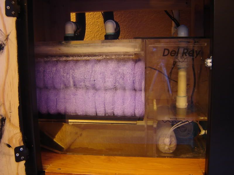 DSC06034.jpg