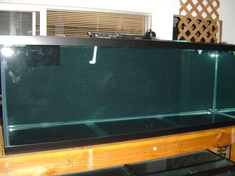 4-28-08012.jpg