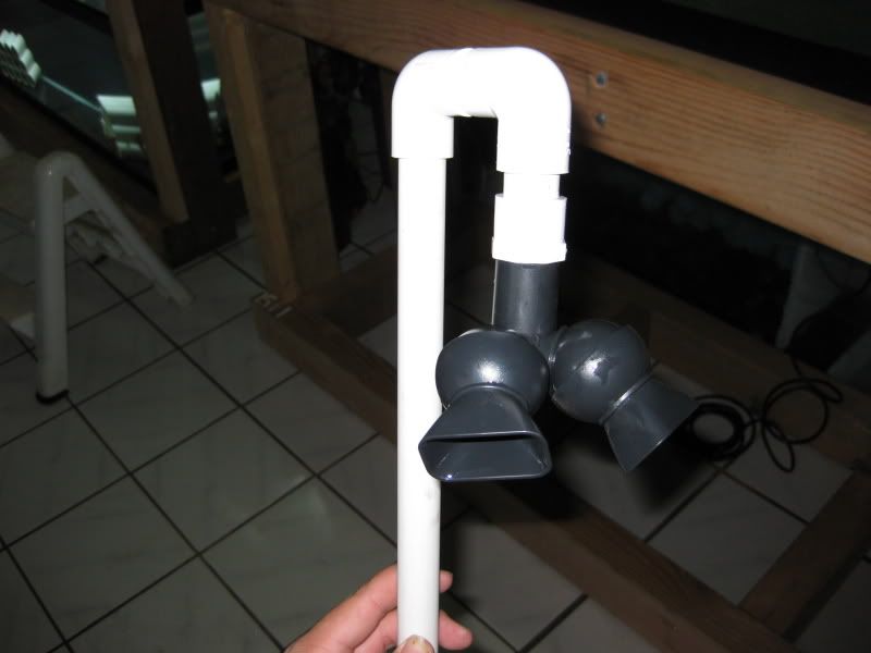4-7-09006.jpg
