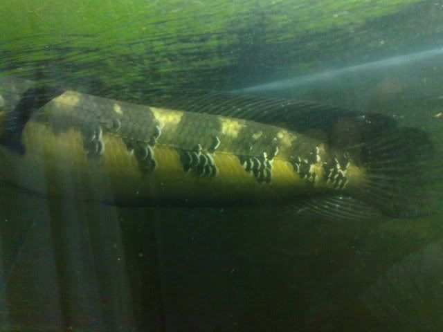 24082010931.jpg