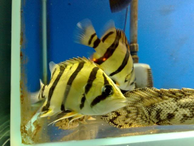070120081323.jpg
