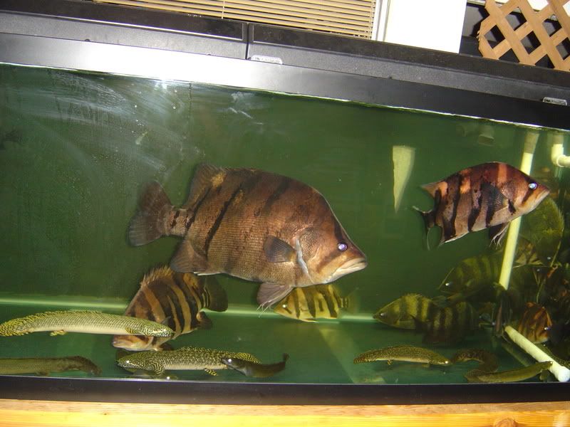10-18-08024.jpg