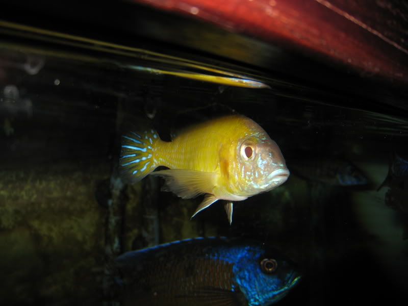 IMG_2582.jpg