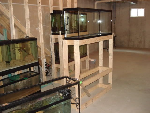 DSC01773.jpg