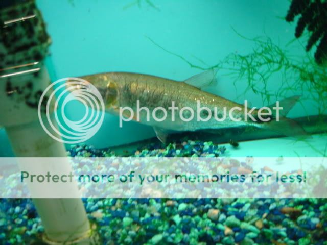 DSC05758.jpg
