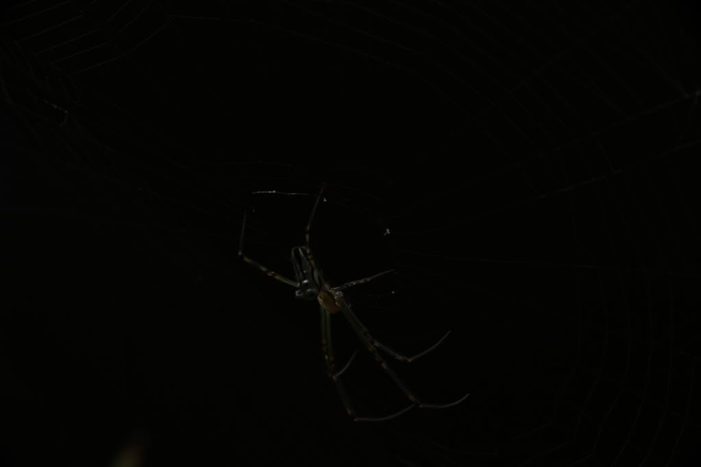 IMG_0071.jpg