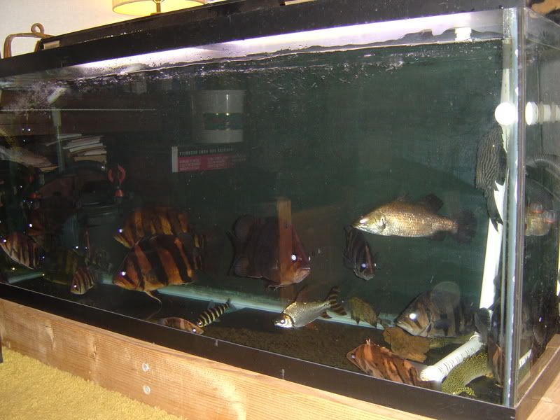 2-25-2008001.jpg