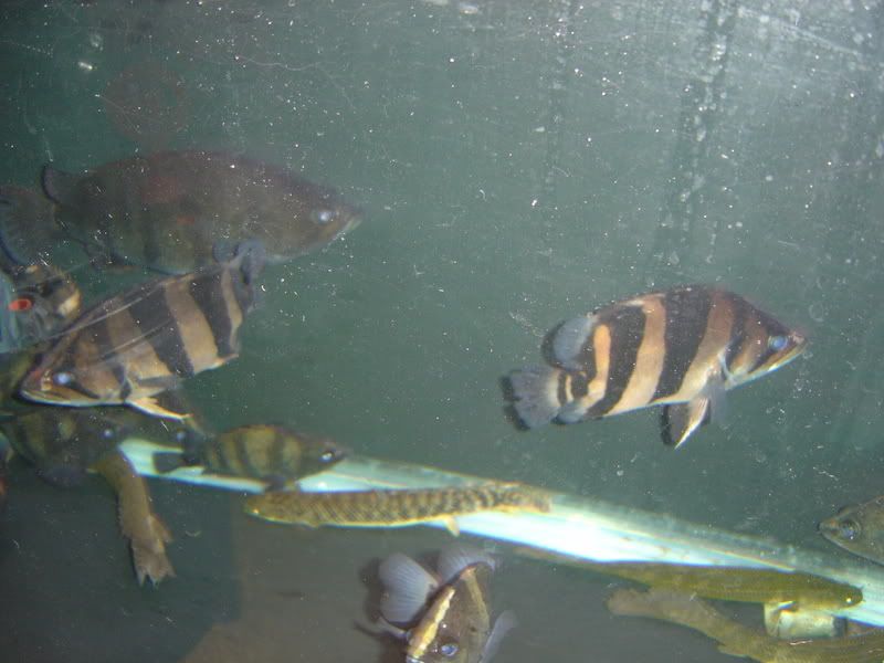 11-19-07026.jpg