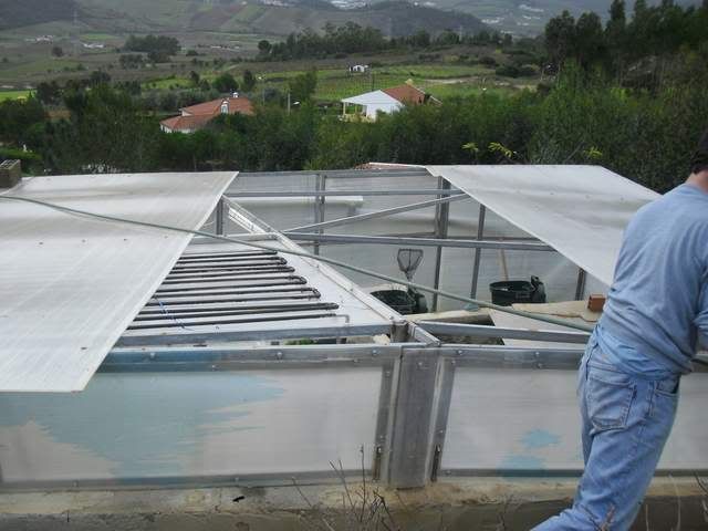 CIMG0325.jpg