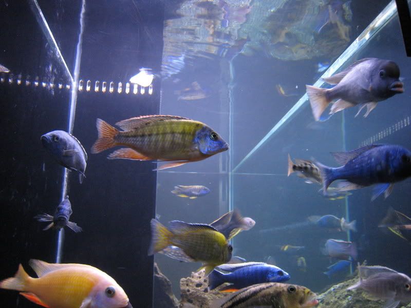 IMG_4294.jpg