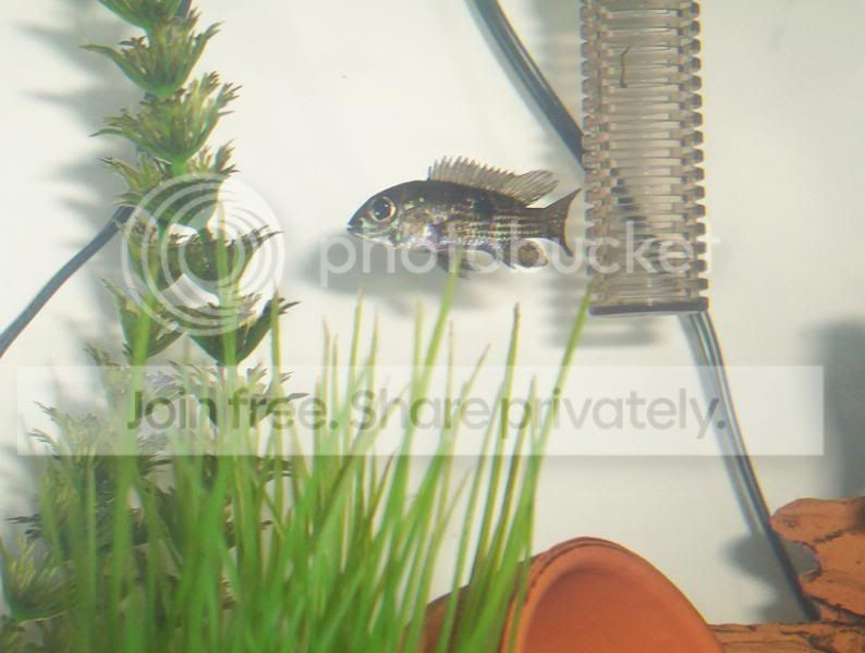 100_7687.jpg