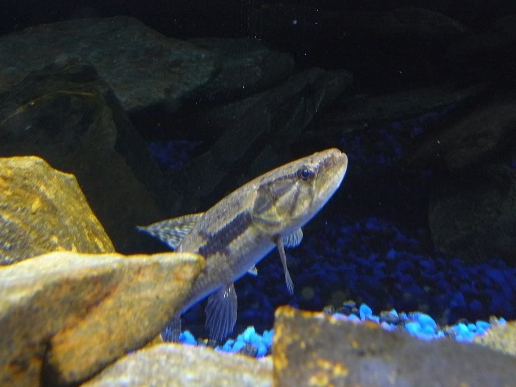 P1030450.jpg