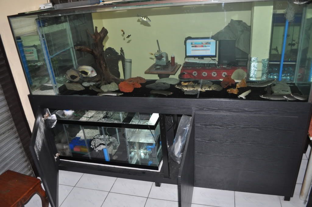 DSC_1256.jpg