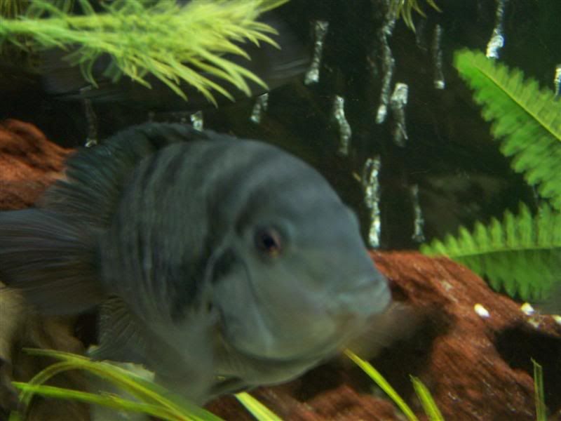 100_5495Medium.jpg