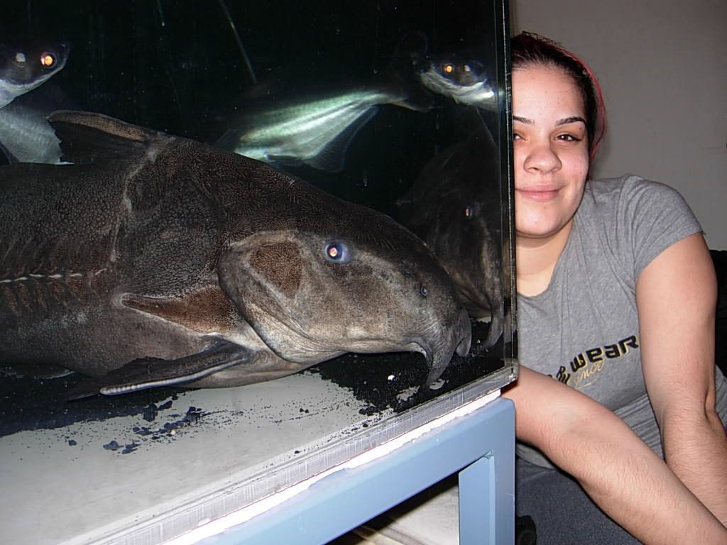 NEWFISH021.jpg
