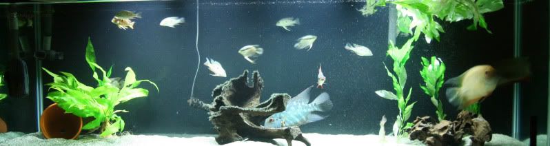 fts.jpg