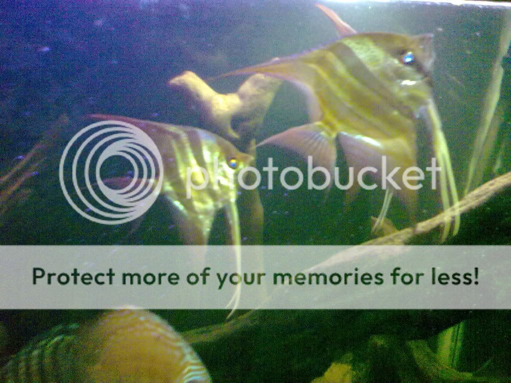 11062009214.jpg