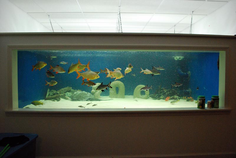DSC_0320.jpg