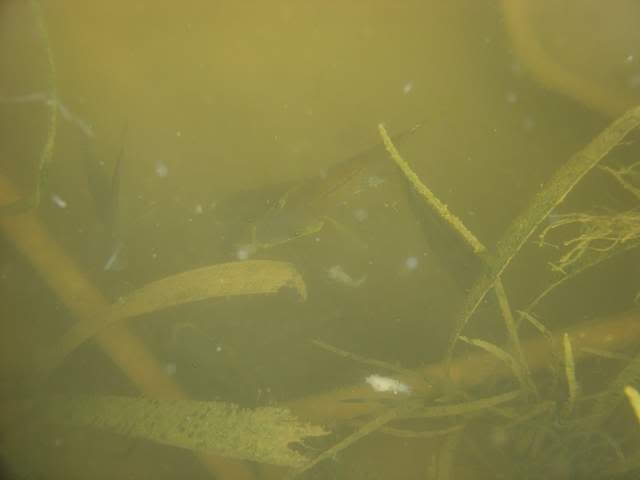 DSC05885.jpg