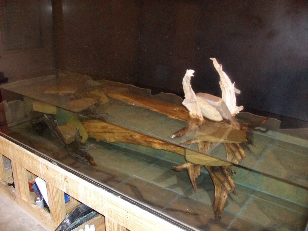 010-2.jpg