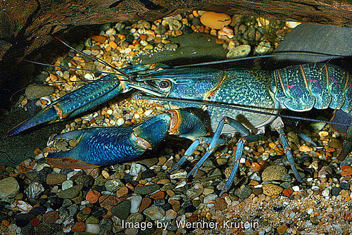 4633199987_d797a94b34.jpg