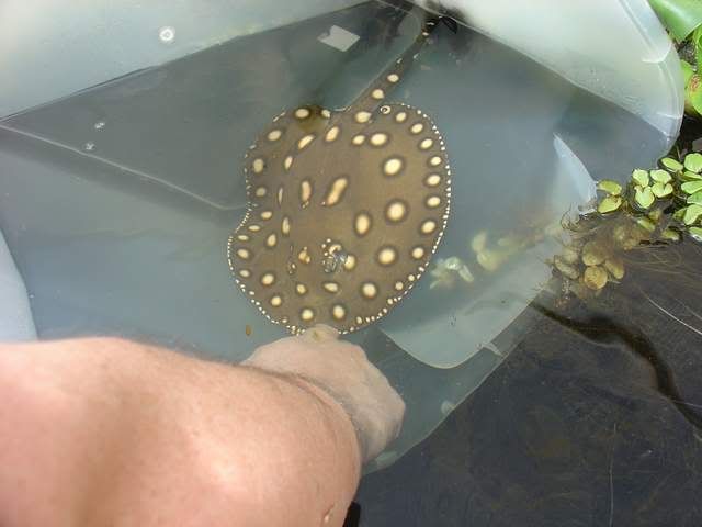 DSC06622.jpg