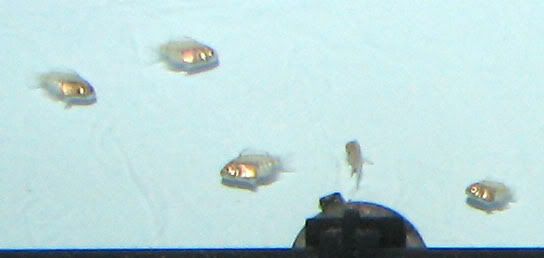 IMG_6700.jpg