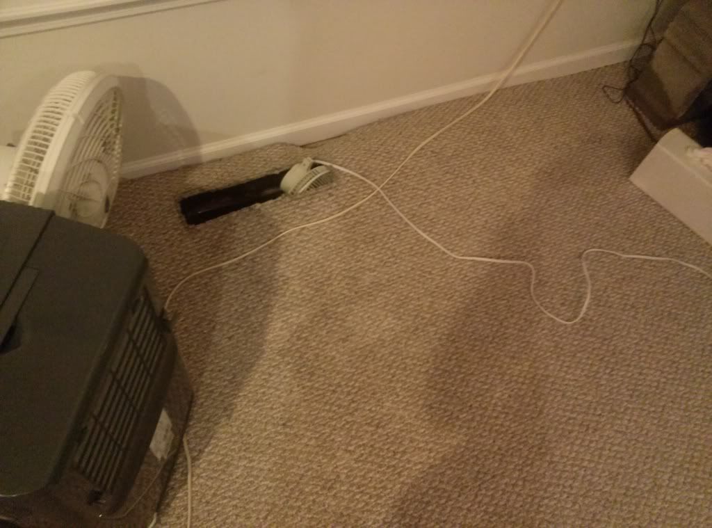CAM00434_zps2c61d23f.jpg