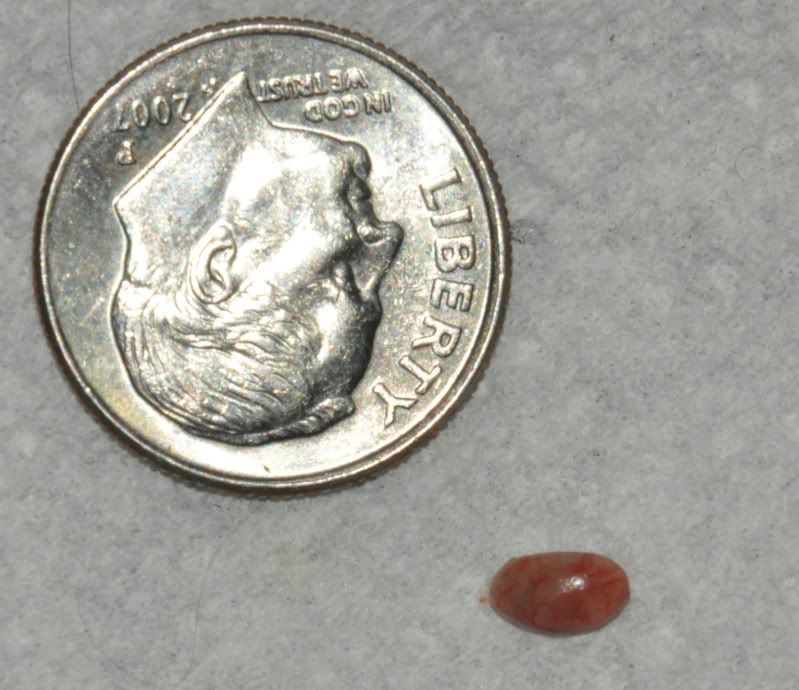 beantumor.jpg