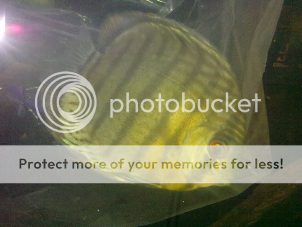 10062009181.jpg