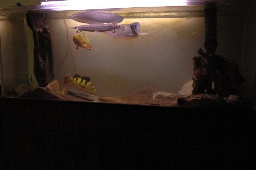 DSC_9665.jpg