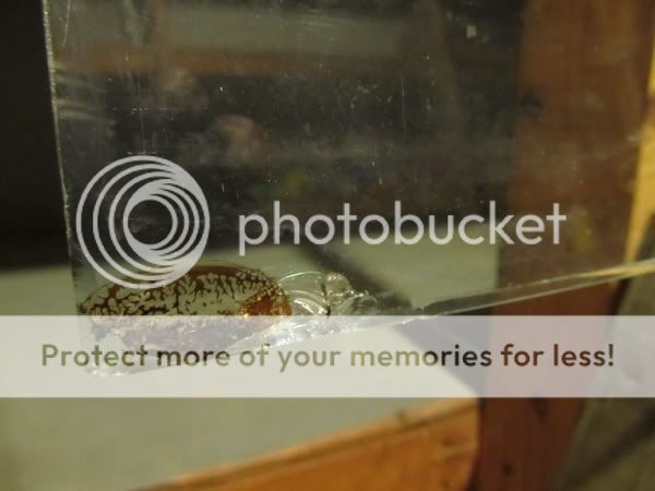 TankRestore27.jpg