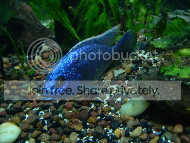 DSCN2156.jpg