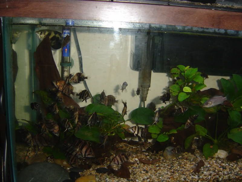 120gpt2012.jpg