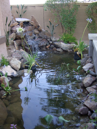 924304757_qCQXp-M.jpg